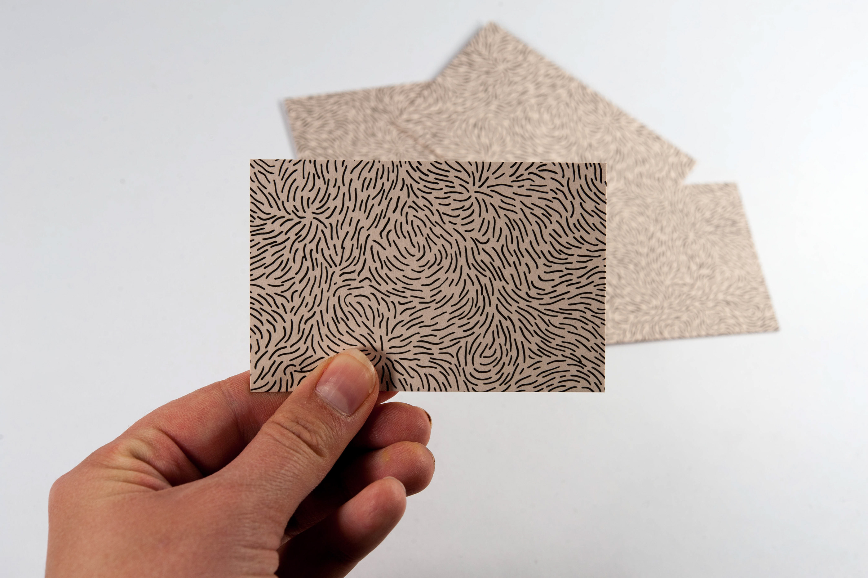 Projet carte de visite