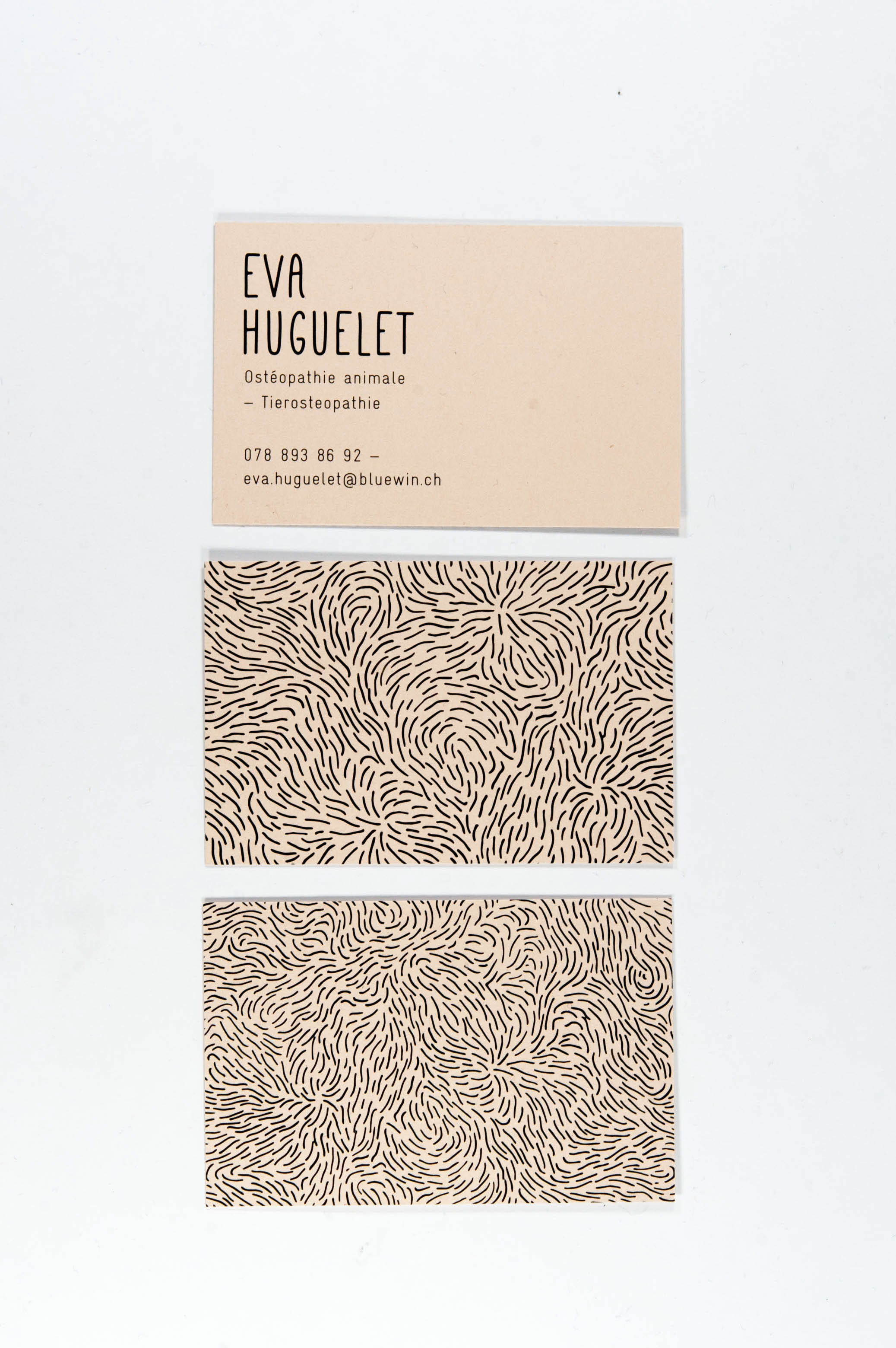 Projet carte de visite